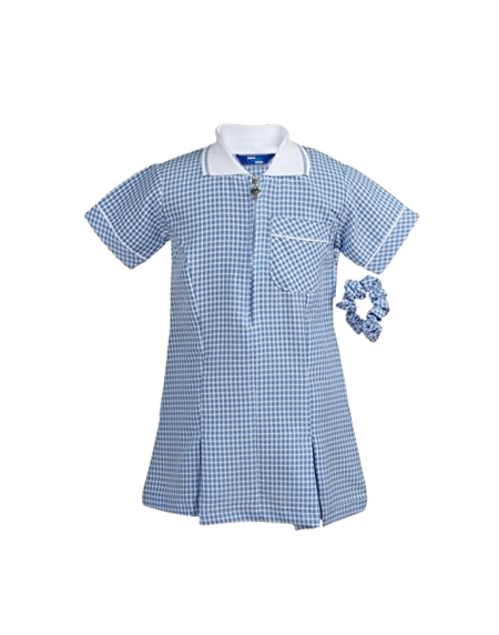 Blue Gingham Blue Gingham