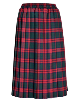 Red Green Long Elastic Skirt