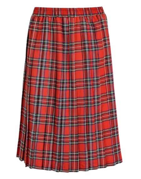 Red Long Elastic Skirt